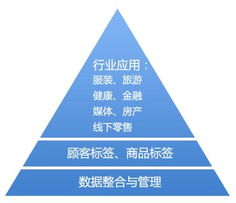 大數(shù)據(jù) 互聯(lián)網數(shù)據(jù)服務的核心引擎與未來圖景